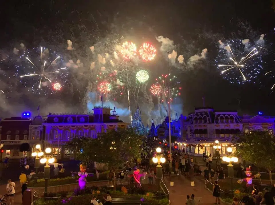 Magic Kingdom fireworks at night