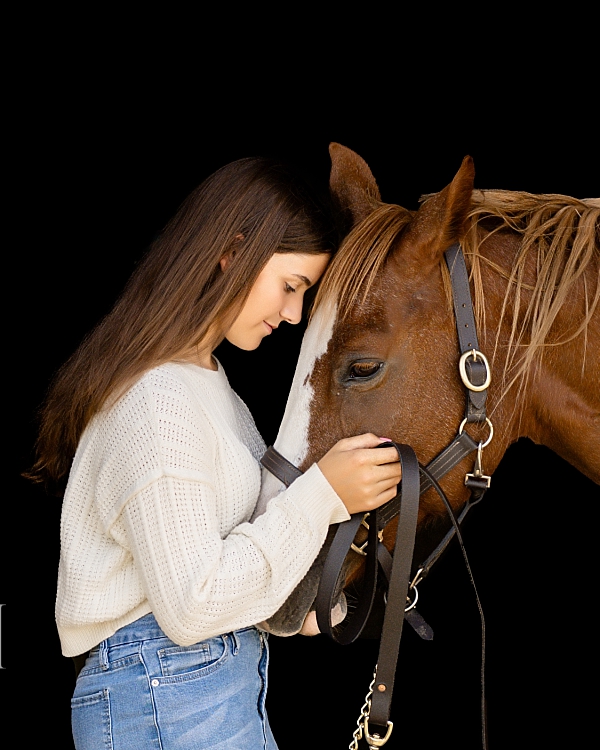 Delaware, Ohio horse portrait