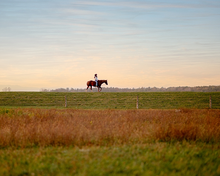 horse and rider on the hill