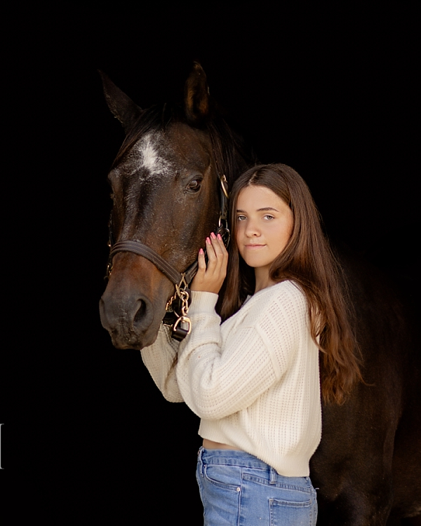 Delaware, Ohio horse portrait